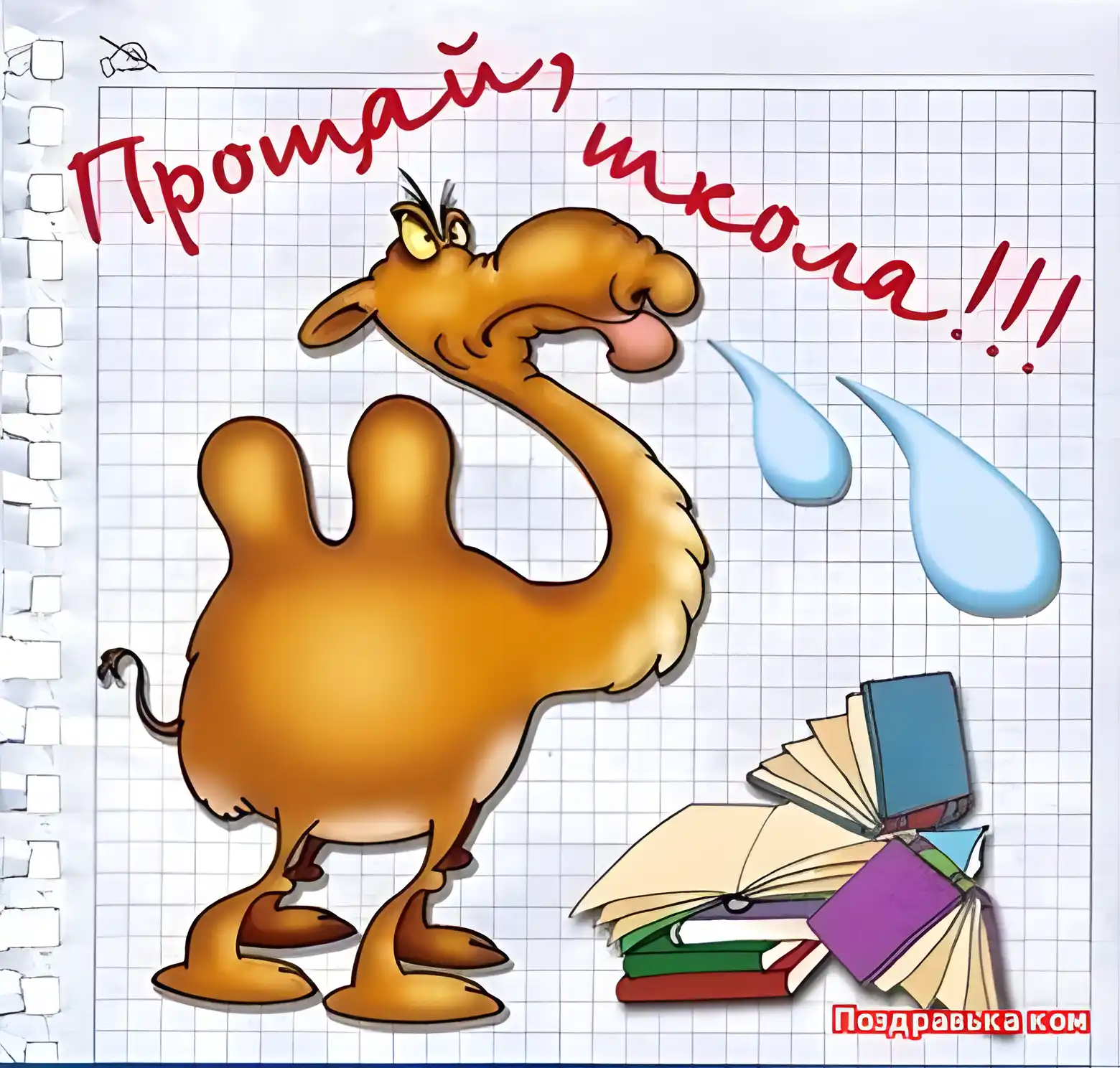 Открытка 25 мая - Последний звонок - Весёлый верблюжонок с книгами: открытка с юмором | Красивая открытка #18