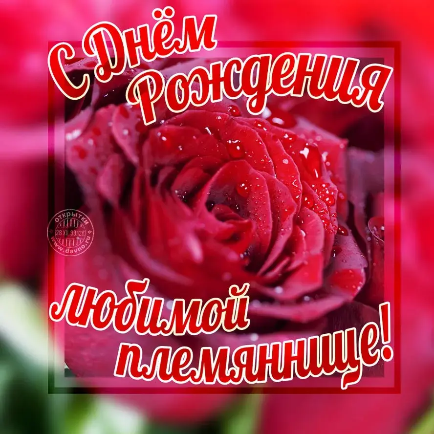 Открытка С днем рождения племяннице - Открытка с цветами: День рождения, поздравление | Красивая открытка #7