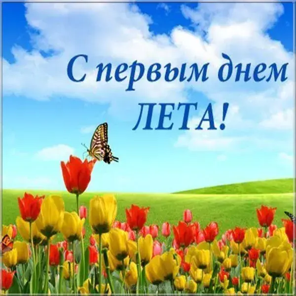 Открытка Первый день лета - Яркая открытка с тюльпанами и бабочкой | Красивая открытка #155