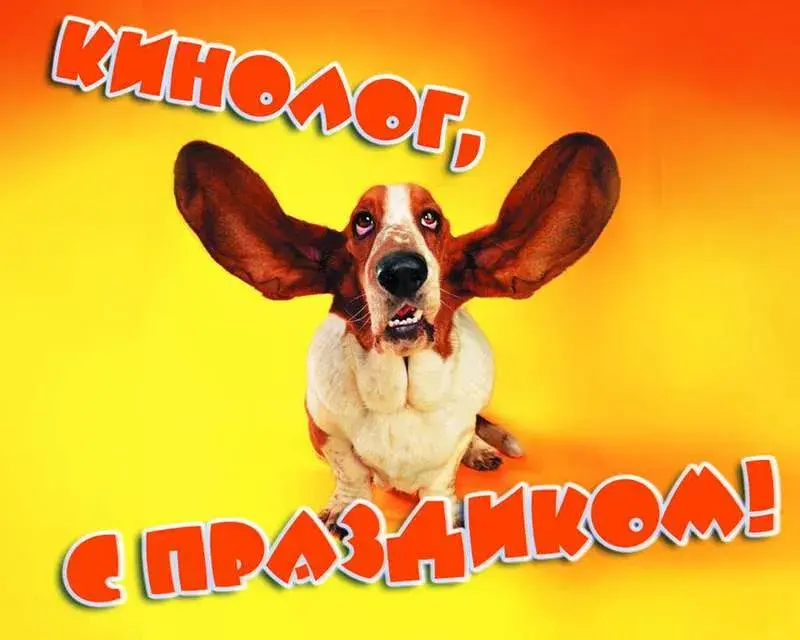 Открытка День кинолога - Открытка с бассет-хаундом на желтом фоне | Красивая открытка #1