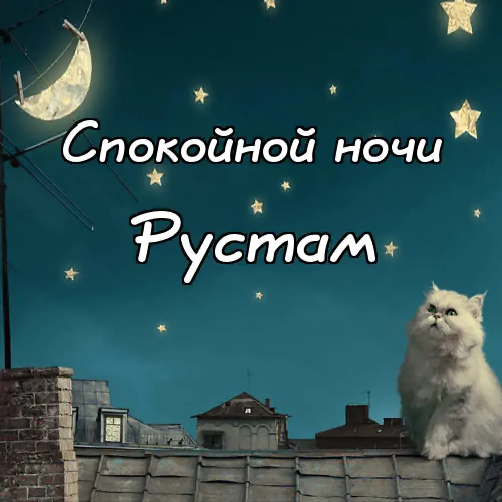 Открытка Открытки с именем Рустам - Котенок на крыше под луной - открытка | Красивая открытка #143