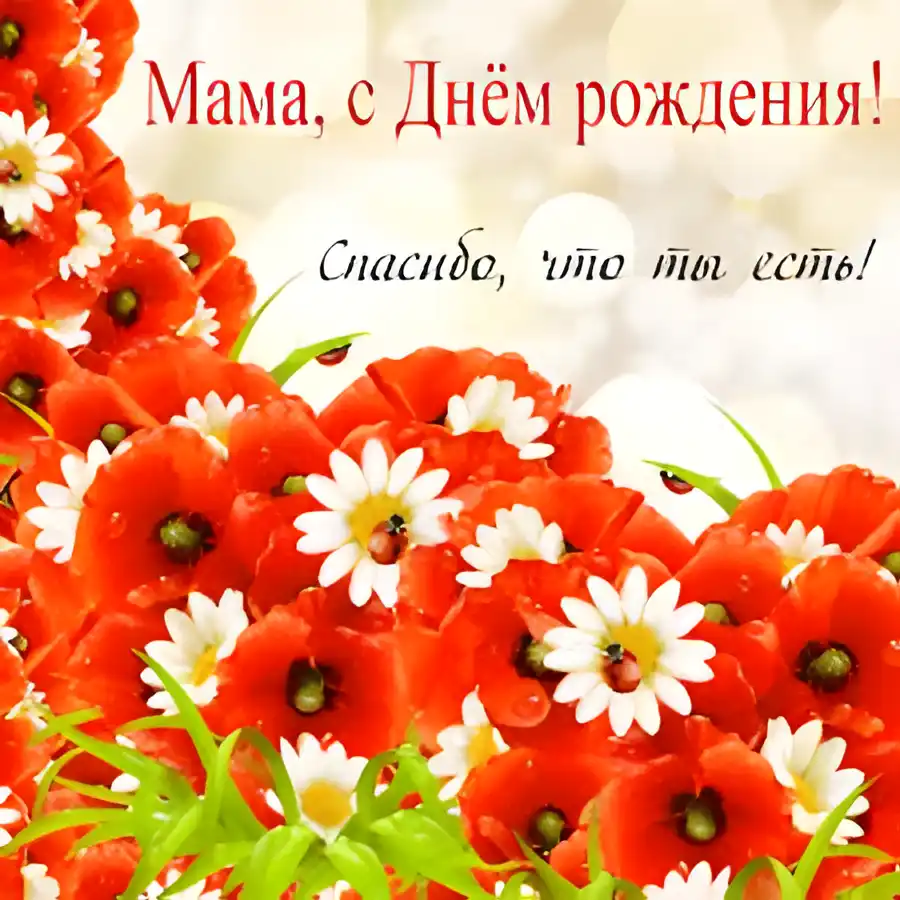 Открытка Открытки с Днем Рождения маме - Открытка: Красные маки и белые ромашки | Красивая открытка #60