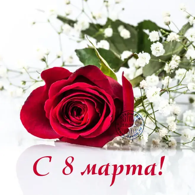 Открытка 8 марта - Красная роза с цветком на открытке  8 марта | Красивая открытка #304