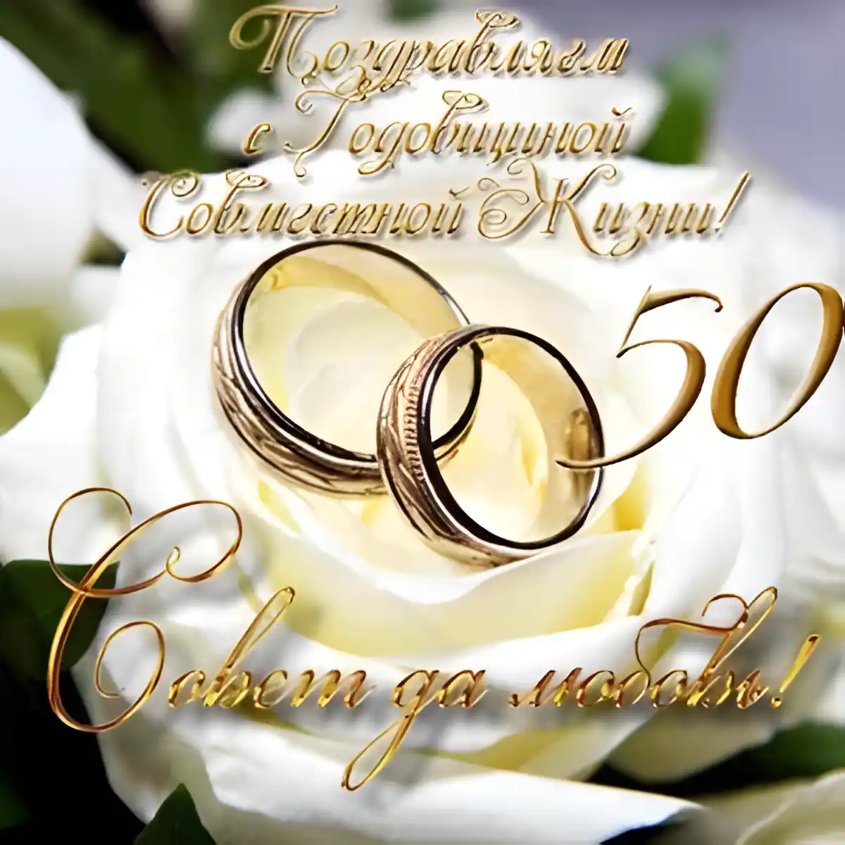 Открытка 50 лет - золотая свадьба - Свадебные обручальные кольца на цветке | Красивая открытка #47
