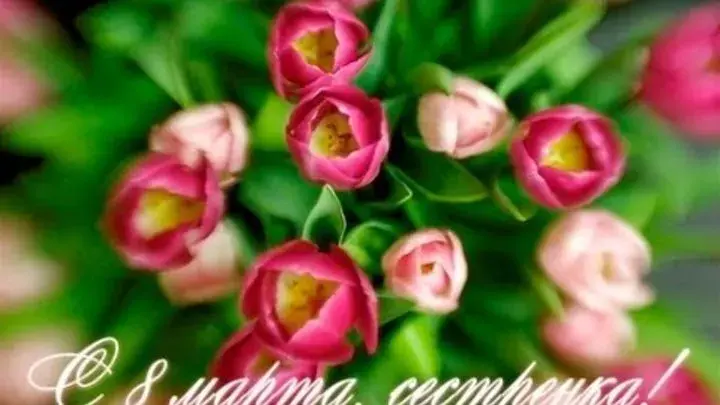 Открытка 8 марта - Открытка с розовыми тюльпанами | Красивая открытка #296