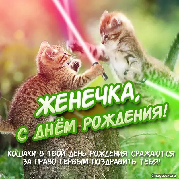 Открытка открытки с именем Евгений - Открытка с котиками: С Днем Рождения! | Красивая открытка #149