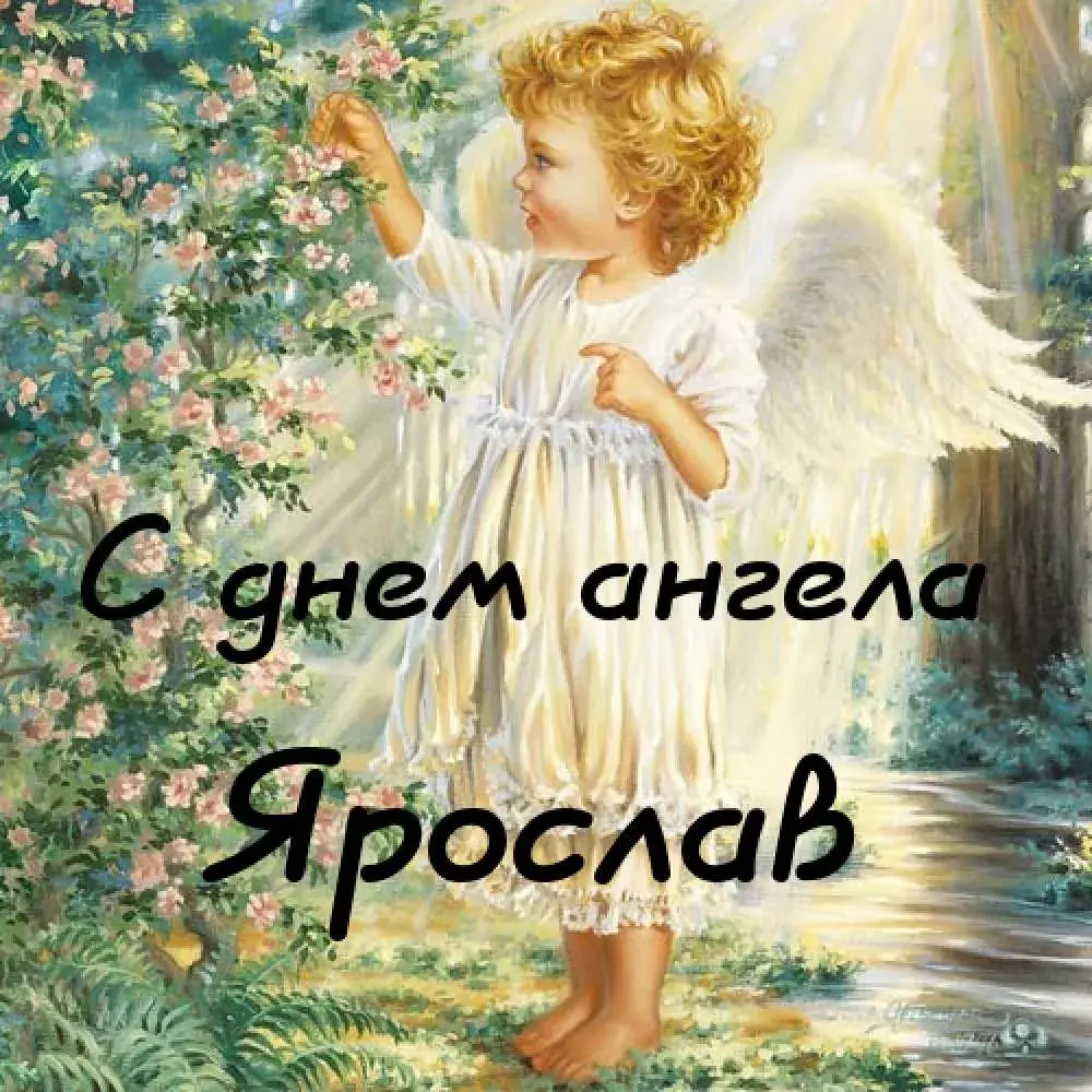 Открытка Открытки с именем Ярослав  - Ангел с крыльями на фоне цветов. Открытка | Красивая открытка #196
