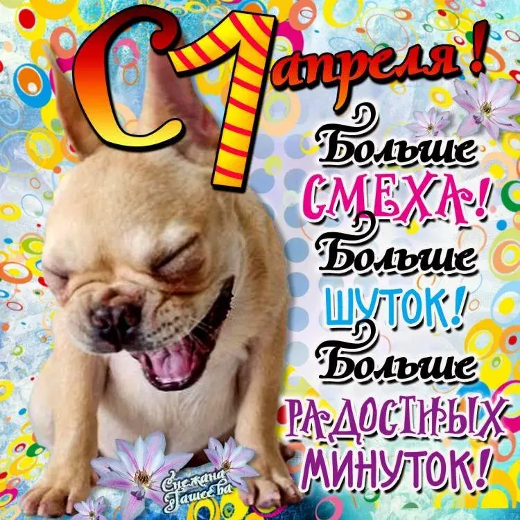 Открытка День смеха - Собачья улыбка: смешная открытка с щенком | Красивая открытка #115