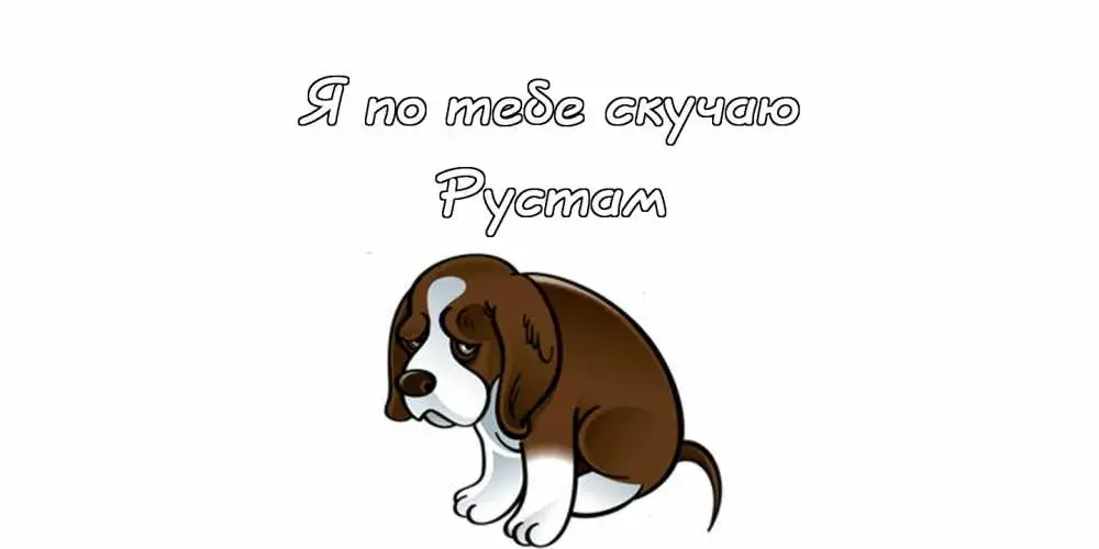 Открытка Открытки с именем Рустам - Открытка с щенком бассет-хаундом | Красивая открытка #228