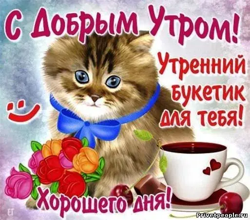 Открытка Доброе утро - Открытка с котенком и цветами: Привет, с добрым утром! | Красивая открытка #234