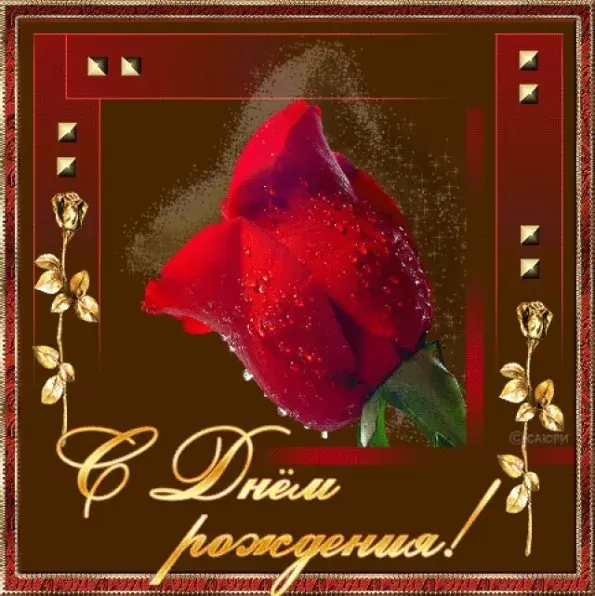 Открытка С днём рождения сноха - Открытка с красной розой и надписью "С Днём рождения" | Красивая открытка #13