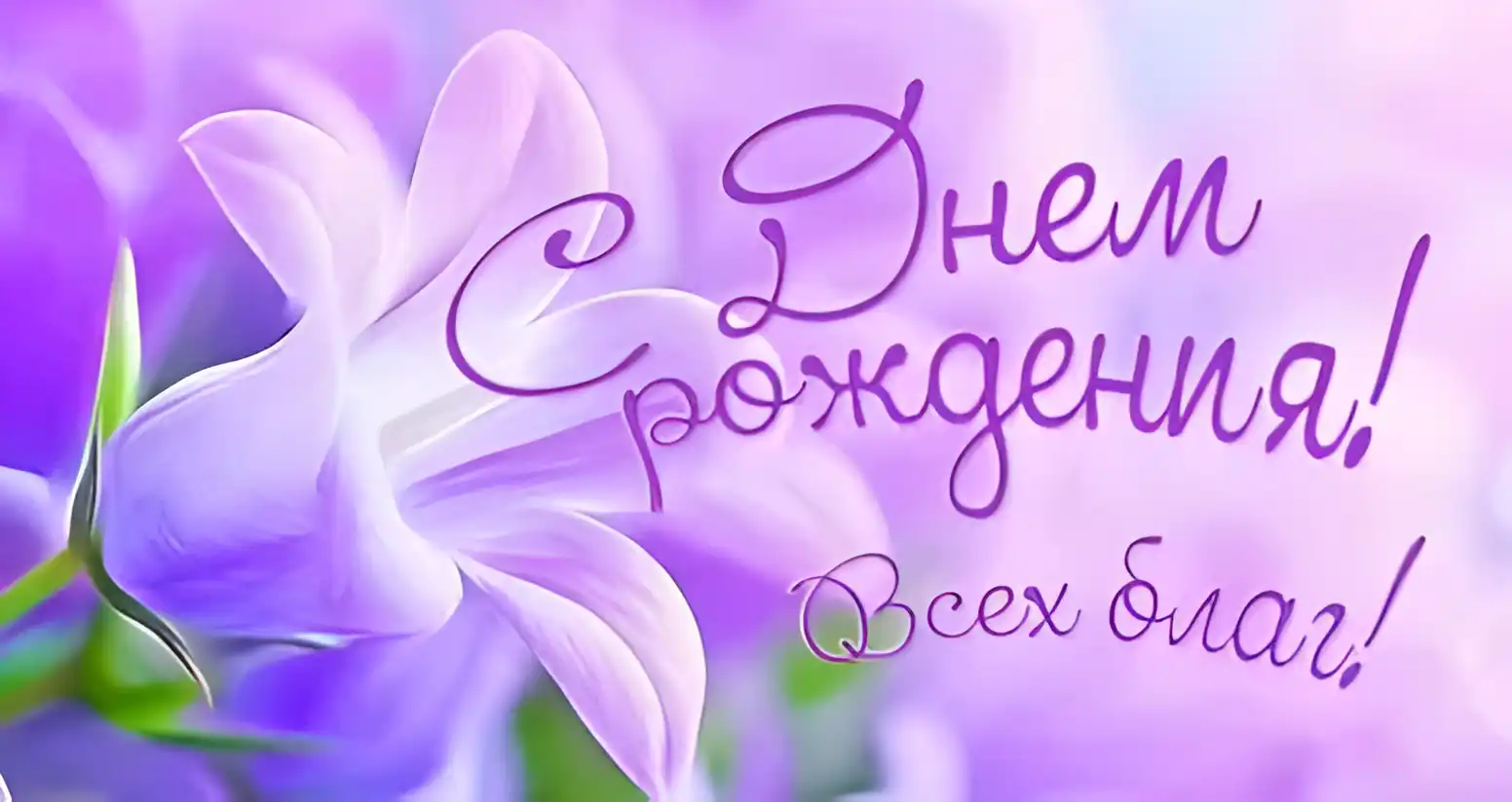 Открытка с днем рождения - Открытка с фиалками: С днем рождения! | Красивая открытка #138