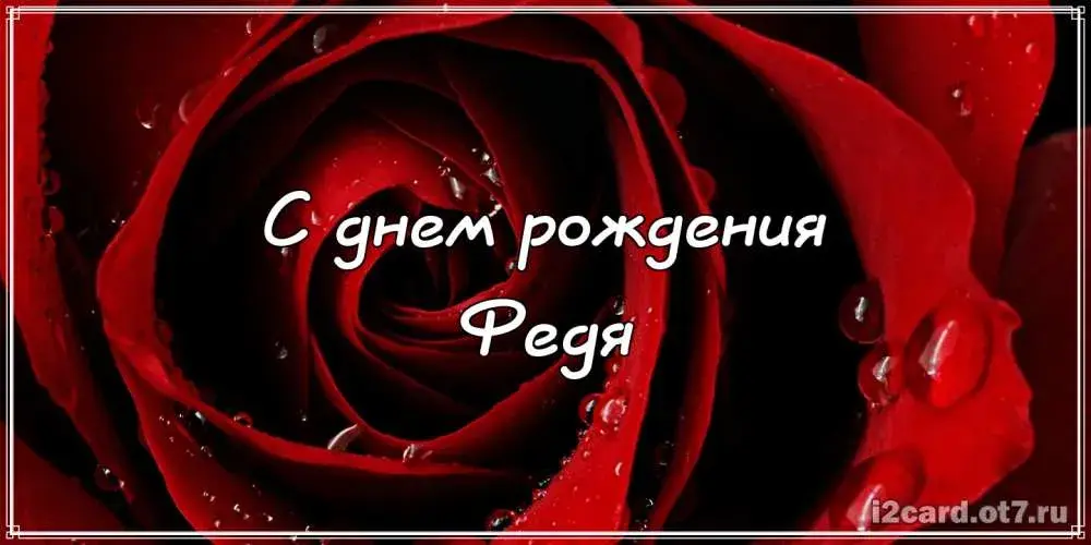 Открытка Открытки с именем Федор - Открытка с днем рождения: Красная роза | Красивая открытка #257