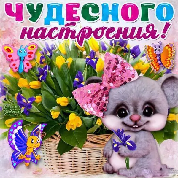 Открытка хорошего настроения - Милый котенок и бабочки: открытка с днем рождения | Красивая открытка #111