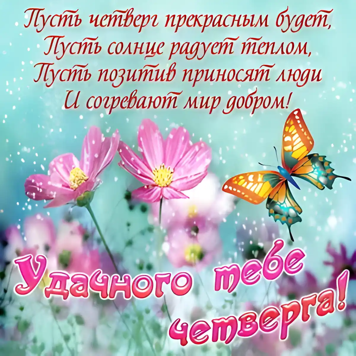Открытка Открытки на четверг - открытка с цветами и бабочками | Красивая открытка #81