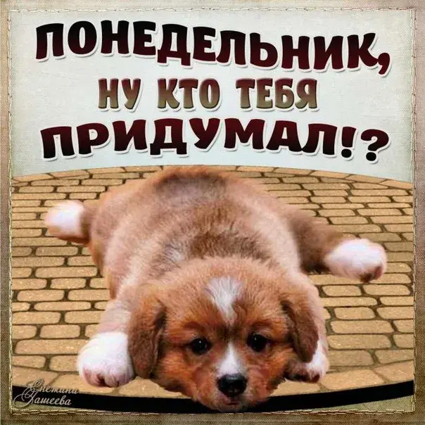 Открытка Открытки на понедельник - Милый щенок на открытке: трогательные поздравления | Красивая открытка #79