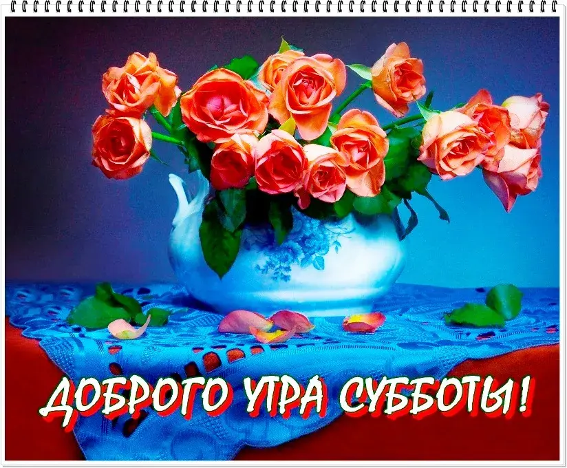 Открытка Доброе утро суббота - Доброта утра! Красивые розы на открытке | Красивая открытка #17