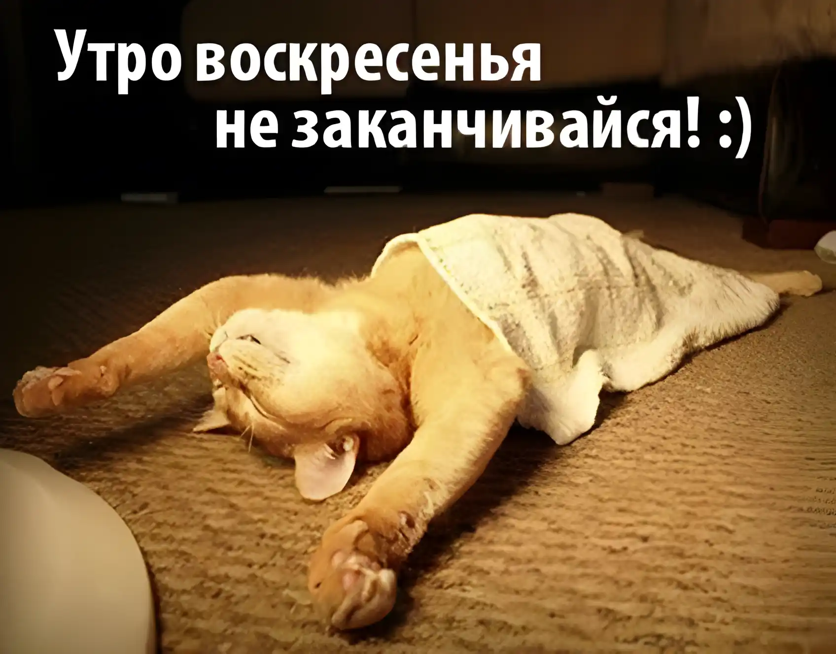 Открытка Открытки на воскресенье - Спящий кот в полотенце: забавная открытка с котиком :) | Красивая открытка #137