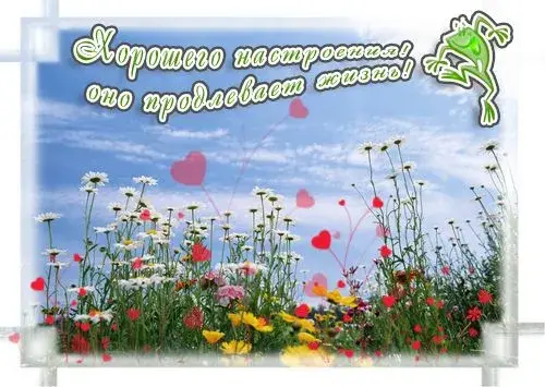 Открытка Для хорошего настроения - Полевые цветы на фоне голубого неба | Красивая открытка #8