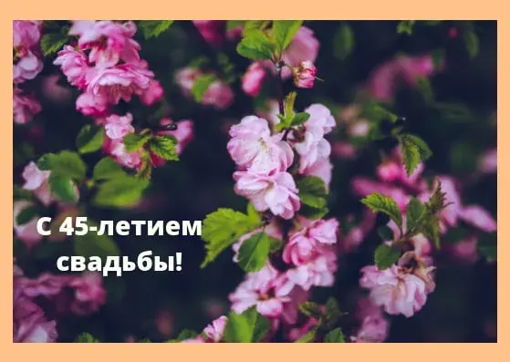 Открытка Открытки на Сапфировую свадьбу 45 лет - Цветущая вишня: Открытка с юбилеем свадьбы | Красивая открытка #64