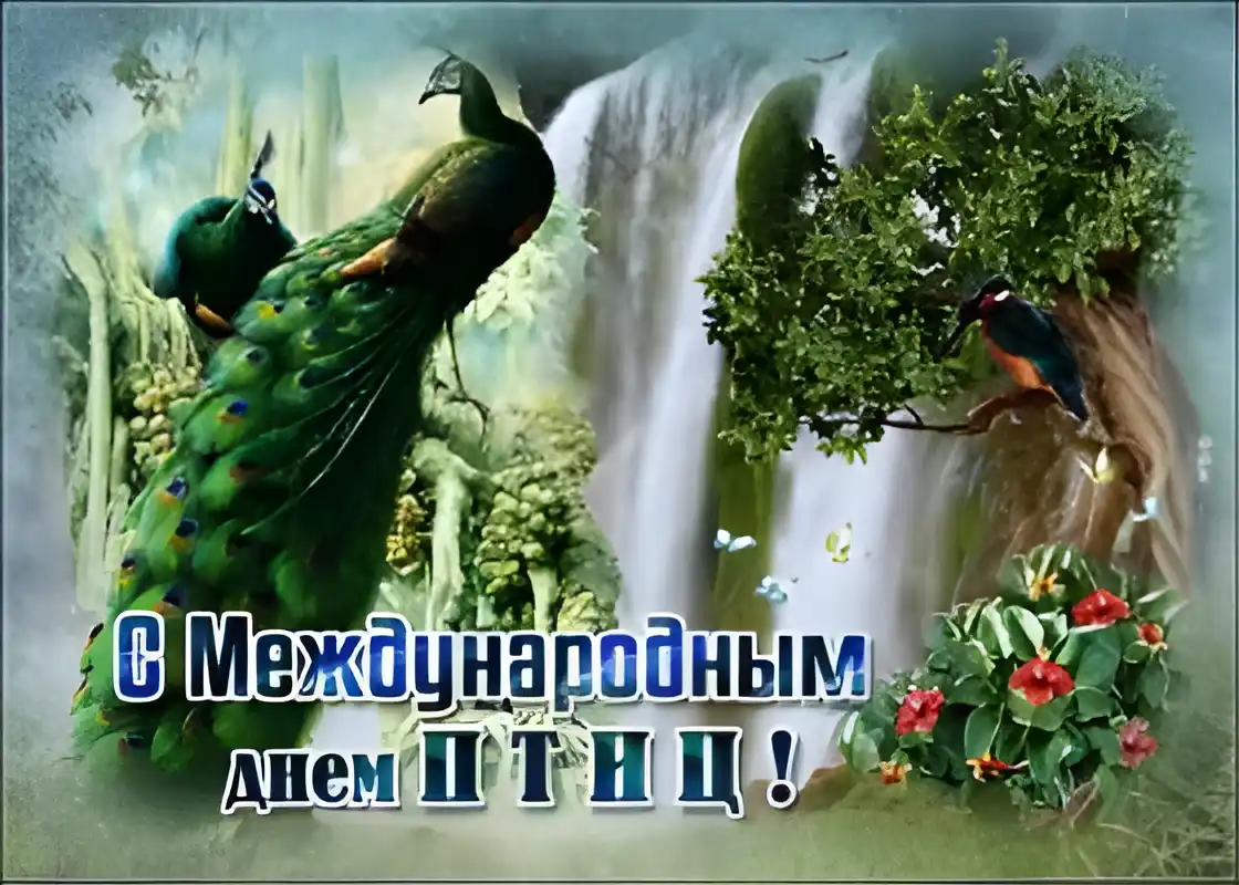 Открытка С днём птиц - Открытка с павлином на фоне водопада | Красивая открытка #22
