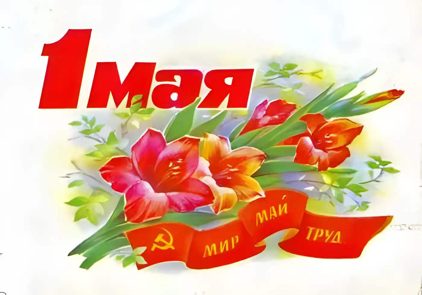 Открытка 1 мая - Поздравление с 1 Мая: Красные цветы и ленты | Красивая открытка #144