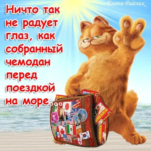 Открытка Хорошего отпуска - Кот с чемоданами: открытка для путешествий | Красивая открытка #36