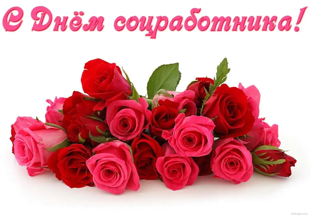 Открытка С днём социального работника - Букет роз: нежная открытка с цветами | Красивая открытка #46