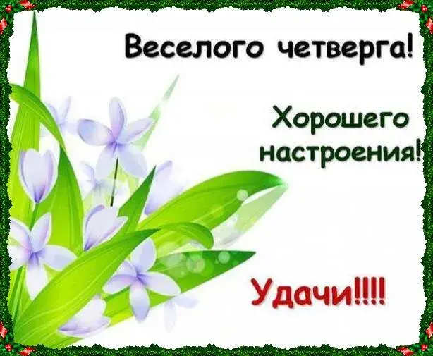 Открытка Удачного четверга - Открытка с фиалками и зелеными листьями | Красивая открытка #28