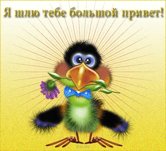 Открытка Привет - Открытка с милым птенчиком и цветком | Красивая открытка #259