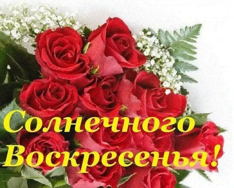 Открытка Выходные - Букет роз и белых цветов. Праздничная открытка. | Красивая открытка #34