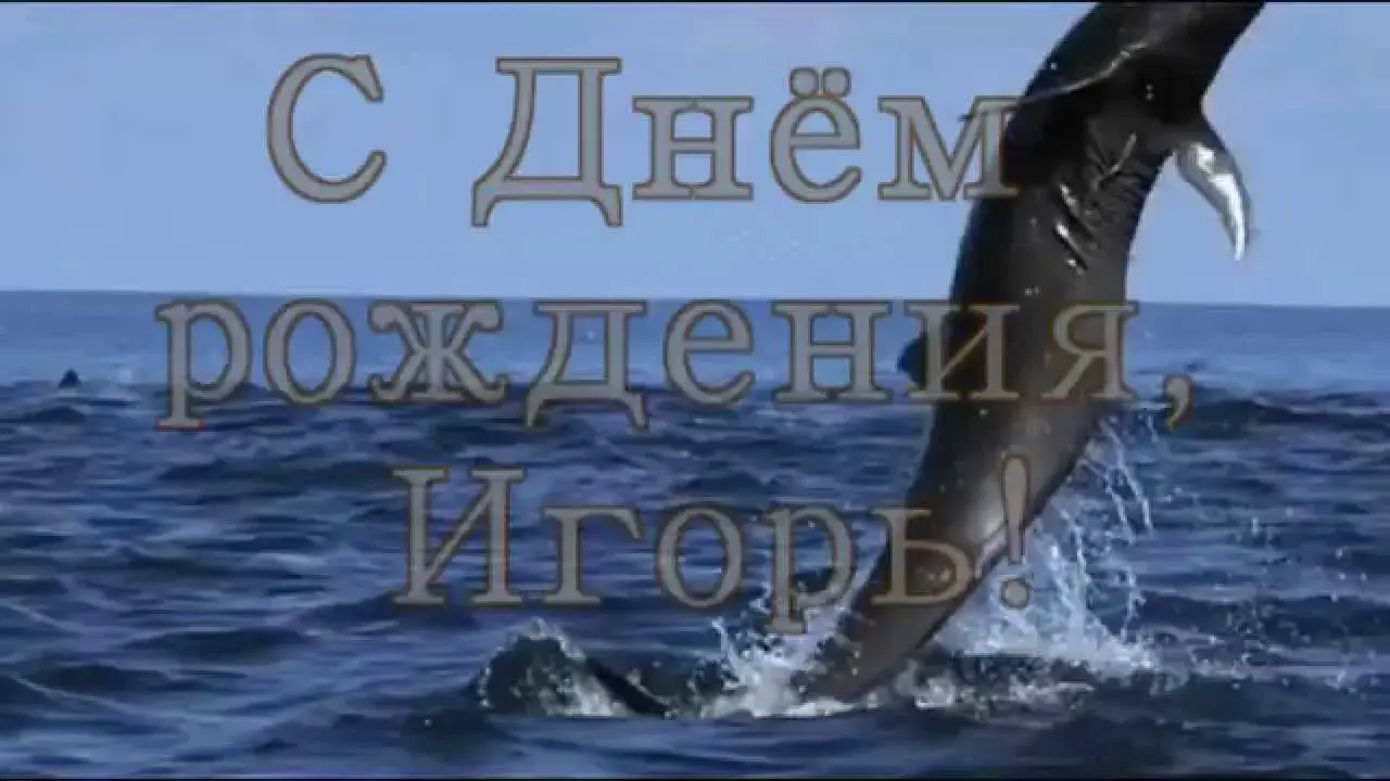 Открытка открытки с именем Игорь - Открытка "С Днём Рождения": дельфин, море | Красивая открытка #72