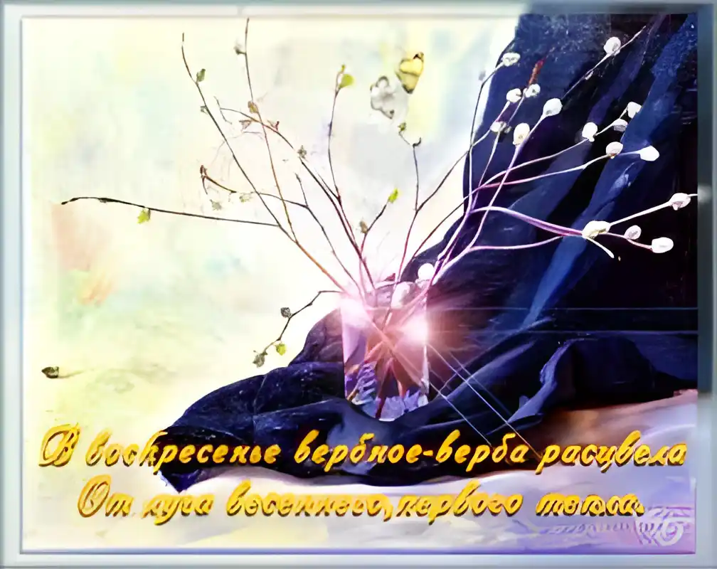 Открытка Вербное Воскресенье - Ветви цветущей вишни на темном фоне | Красивая открытка #146