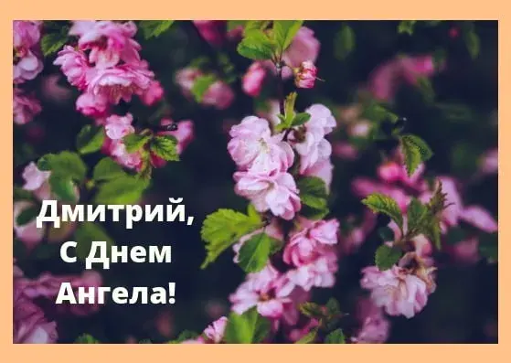 Открытка открытки с именем Дмитрий  - Цветущая вишня: нежная открытка с днем рождения | Красивая открытка #190