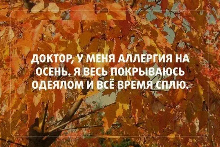 Открытка времена года - Осенние листья: яркие цвета и природная красота | Красивая открытка #56