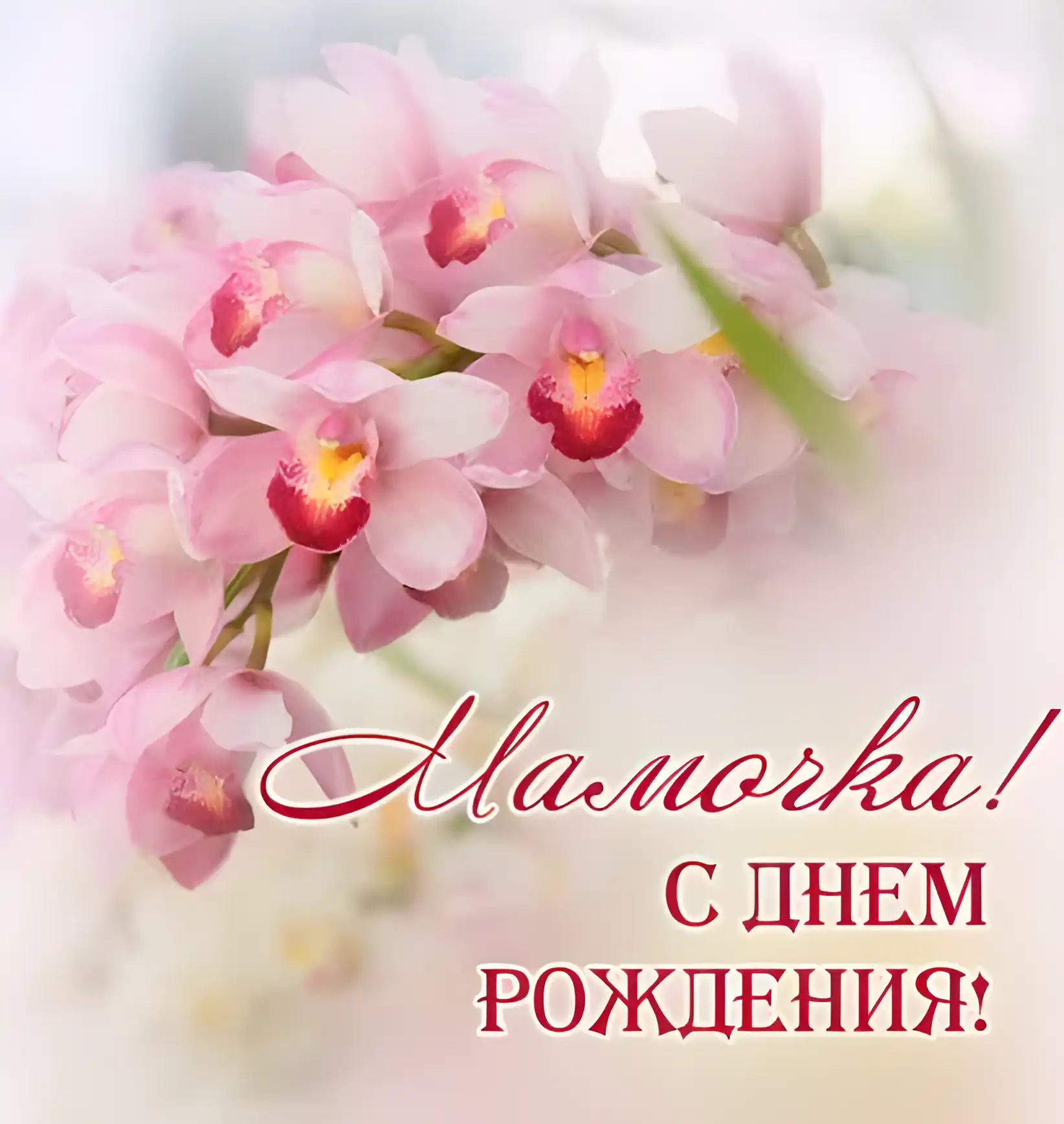 Открытка Открытки с Днем Рождения маме - Открытка с нежными розовыми орхидеями | Красивая открытка #50