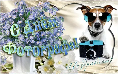 Открытка Открытки с днем фотографа - Открытка с собакой, цветами и фотоаппаратом | Красивая открытка #12