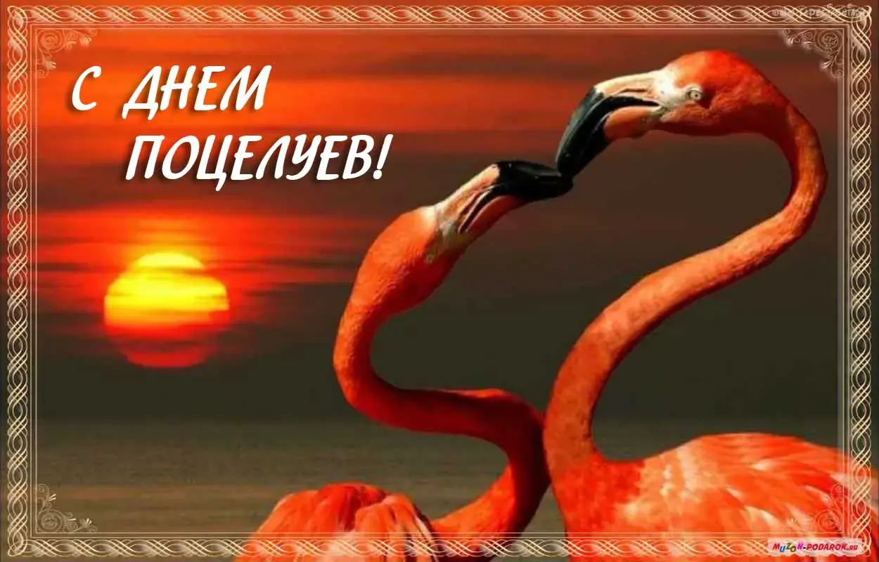 Открытка Открытки с днем поцелуя - Открытка с фламинго на закате  Праздничное поздравление | Красивая открытка #6