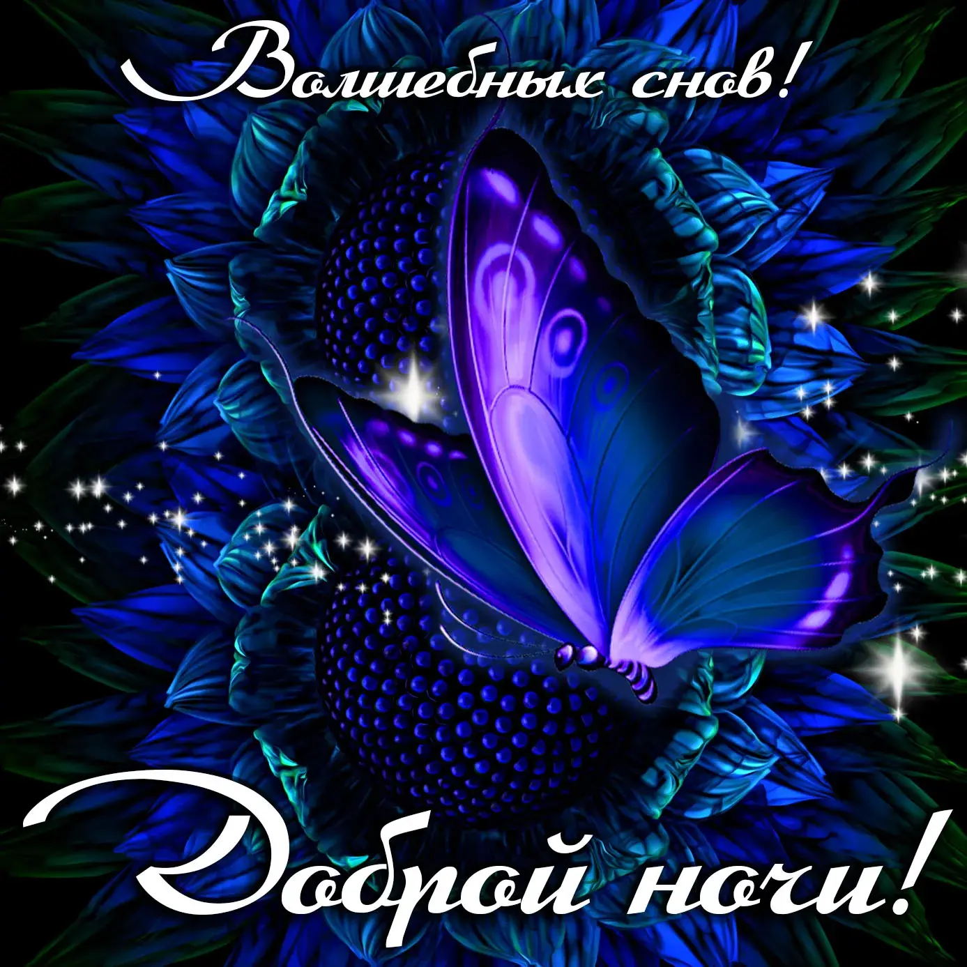 Открытка Доброй ночи - Фиолетовая бабочка на синих цветах | Красивая открытка #1