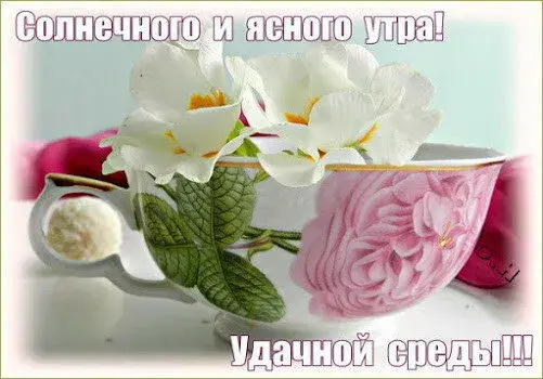 Открытка Открытки на среду - Открытка с белыми цветами и розовой чашкой | Красивая открытка #133