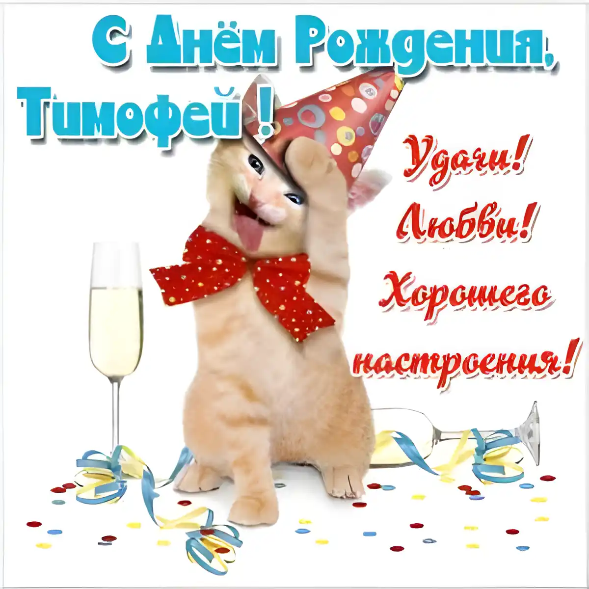 Открытка Открытки с именем Тимофей - С Днём рождения! Котенок с шампанским | Красивая открытка #132
