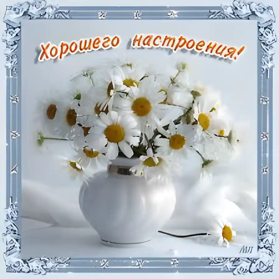 Открытка Открытки хорошего настроения - Открытка с ромашками в вазе  нежные цветы | Красивая открытка #243