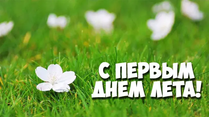 Открытка С первым днём лета - С цветами на лугу | Красивая открытка #62