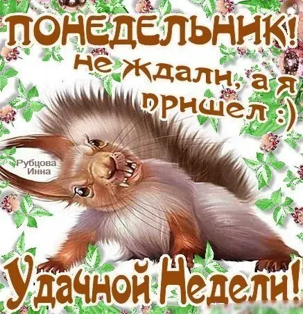 Открытка Удачного понедельника - Белка на открытке: поздравления с праздником | Красивая открытка #6