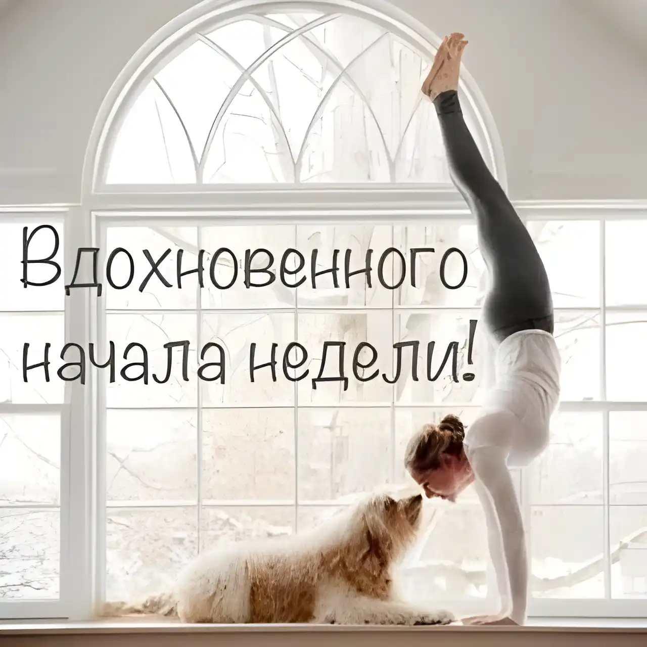Открытка Недели - Йога и собака у окна: праздничная открытка | Красивая открытка #37
