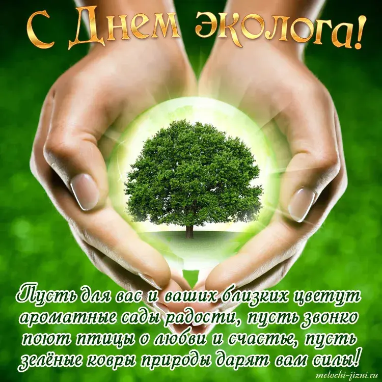 Открытка День эколога - Открытка: Руки держат планету, зелень, природа. | Красивая открытка #9
