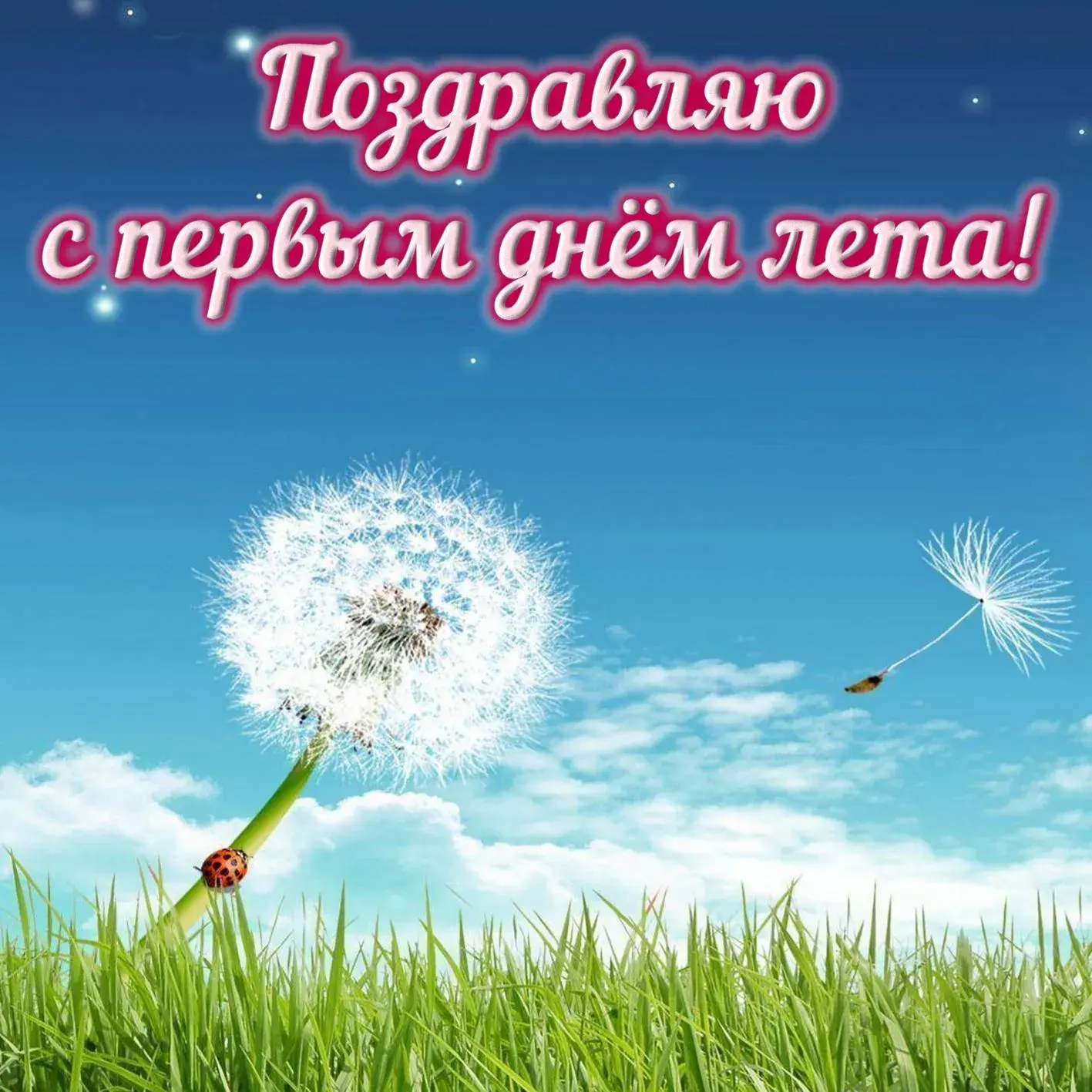 Открытка С первым днём лета - Поздравление с днем рождения - открытка с одуванчиком | Красивая открытка #103