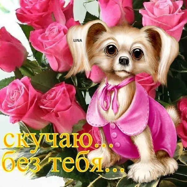 Открытка Скучаю - Открытка с щенком и розами | Красивая открытка #238