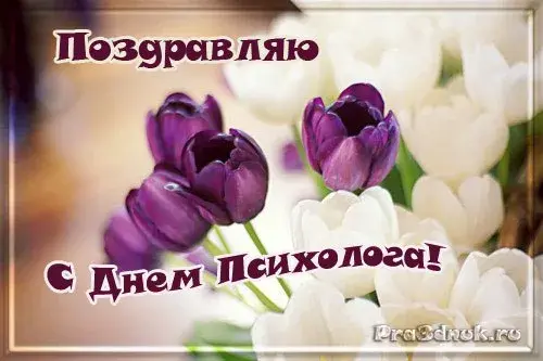 Открытка Открытки с днем психолога - Открытка с цветами: фиалки и белые бутоны | Красивая открытка #48