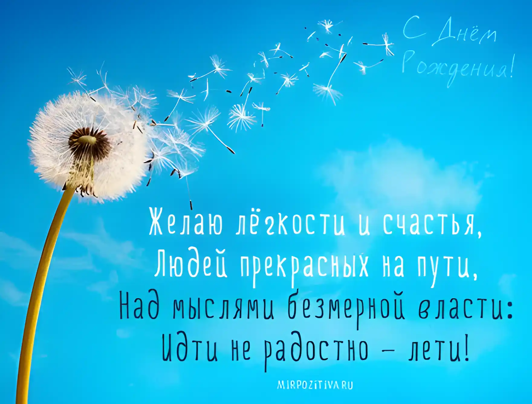Открытка С одуванчиками - Открытка с одуванчиком: Поздравления с днем рождения | Красивая открытка #82